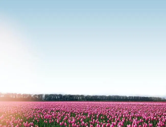 בית נופש Buiten Aan Zee By Droomvilla סנט מארטן